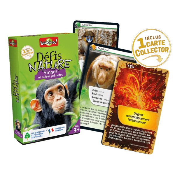 Défis Nature Singes et Autres Primates