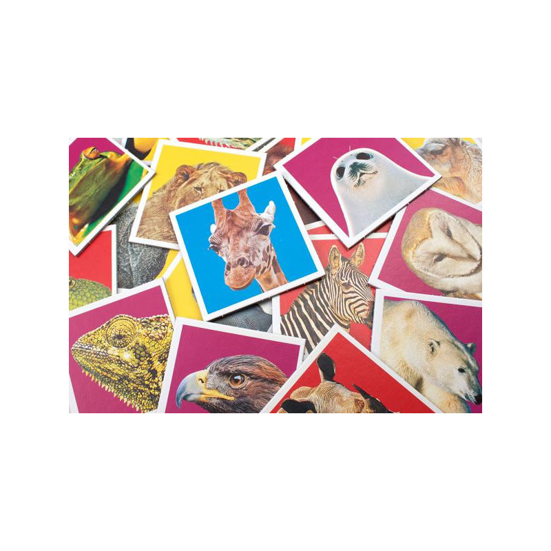 Memo Wildlife (animaux)