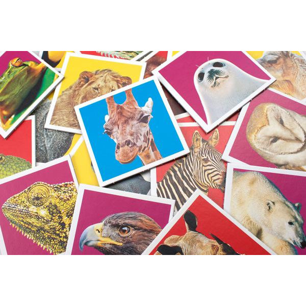 Memo Wildlife (animaux)