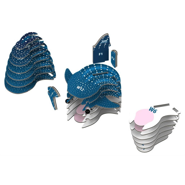 Eugy Requin Baleine