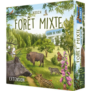 Forêt Mixte extension Lisière de la Forêt