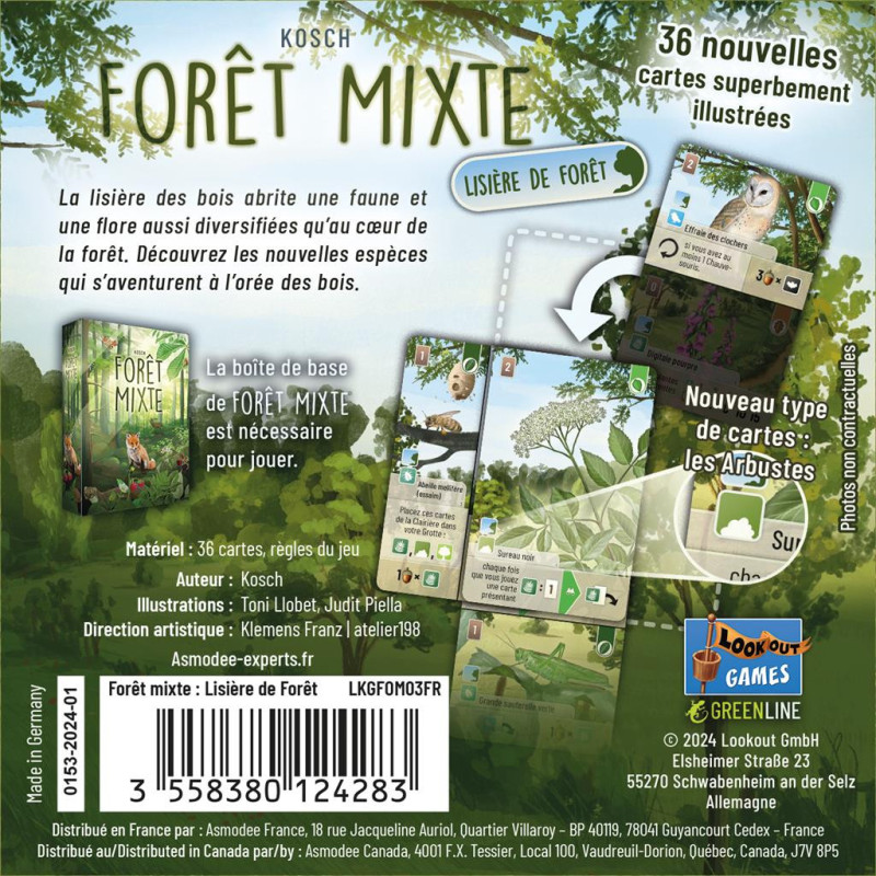 Forêt Mixte extension Lisière de la Forêt