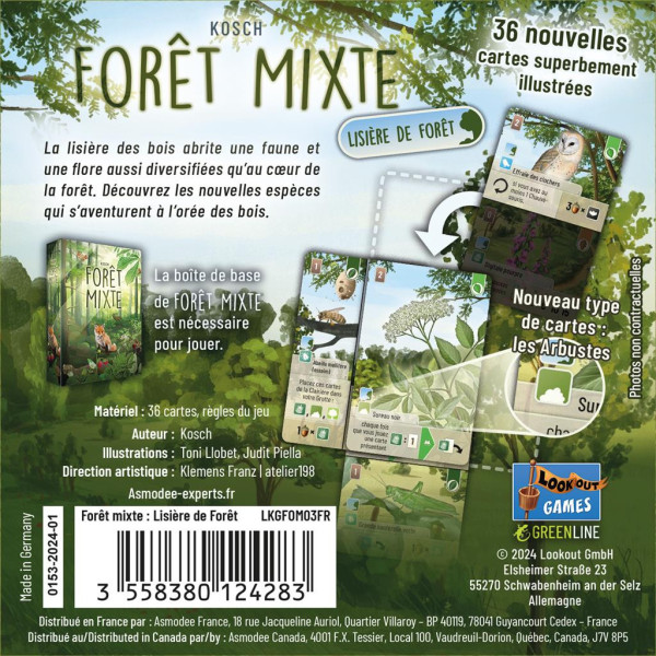 Forêt Mixte extension Lisière de la Forêt