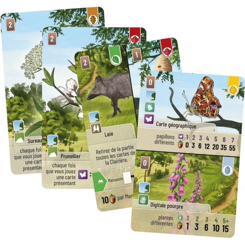 Forêt Mixte extension Lisière de la Forêt