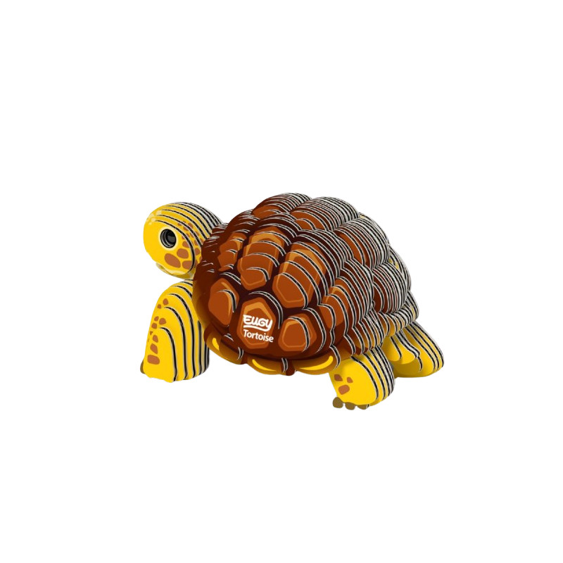 Eugy - Tortue Terrestre (Tortoise)