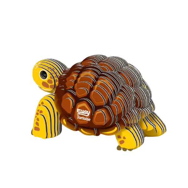 Eugy - Tortue Terrestre (Tortoise)