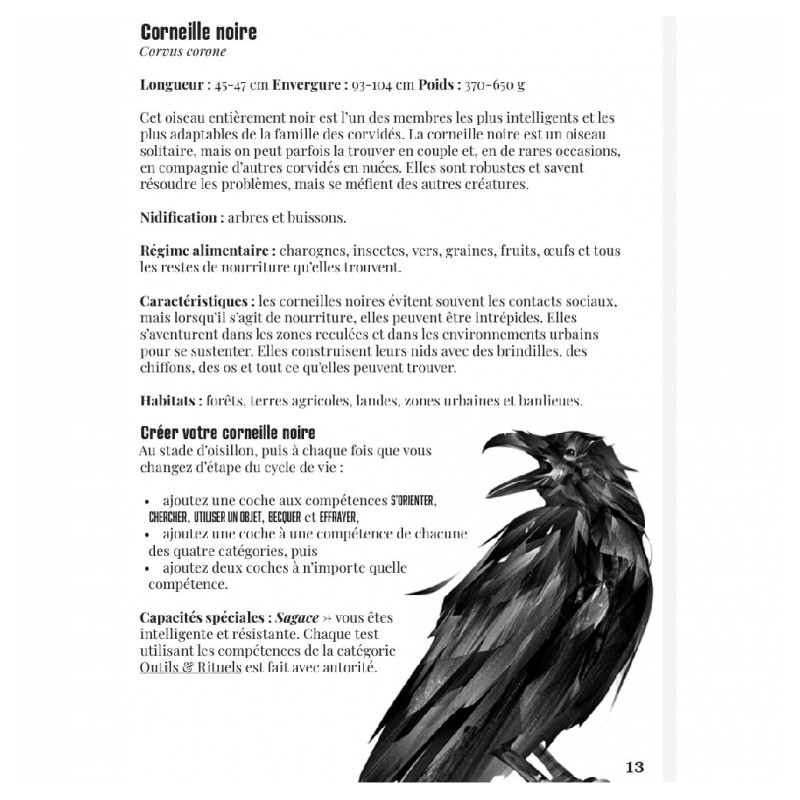 La Voie du Corbeau - Jeu de Rôle Solo