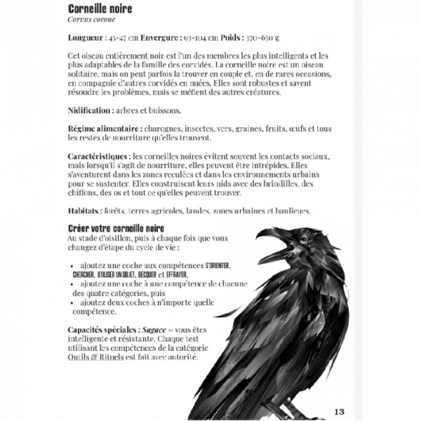 La Voie du Corbeau - Jeu de Rôle Solo