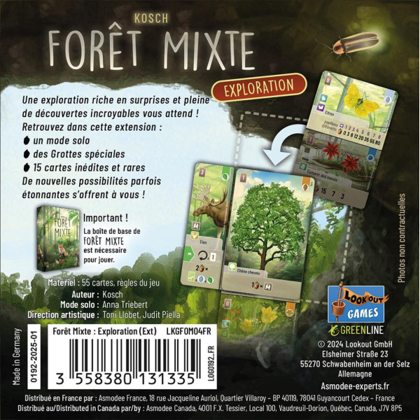 Forêt Mixte - extension Exploration
