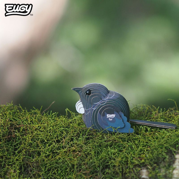 Eugy Geai Bleu (Blue Jay)