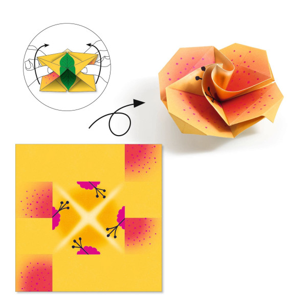 Origami - Tropiques DJ08754