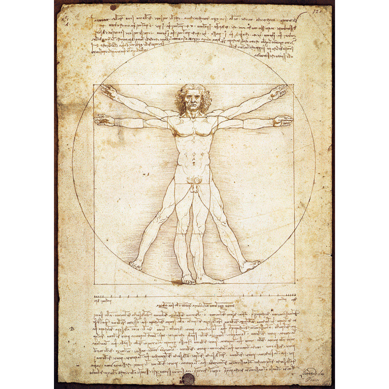 Puzzle Eurographics - The Vitruvian Man De Vinci 1000 pièces