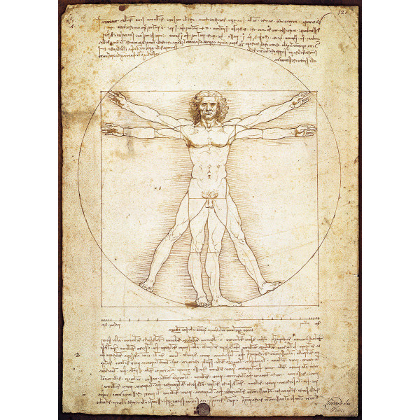 Puzzle Eurographics - The Vitruvian Man De Vinci 1000 pièces