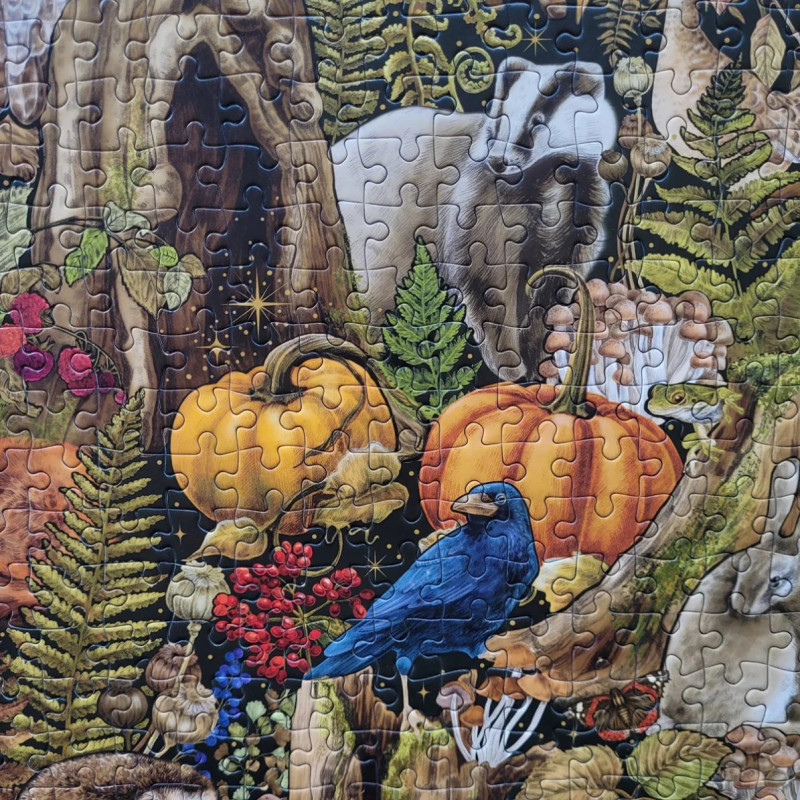 Puzzle Gibsons - Autumn Equinox 1000 pièces