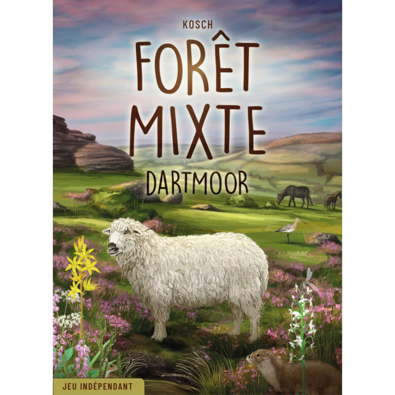 Forêt Mixte Dartmoor