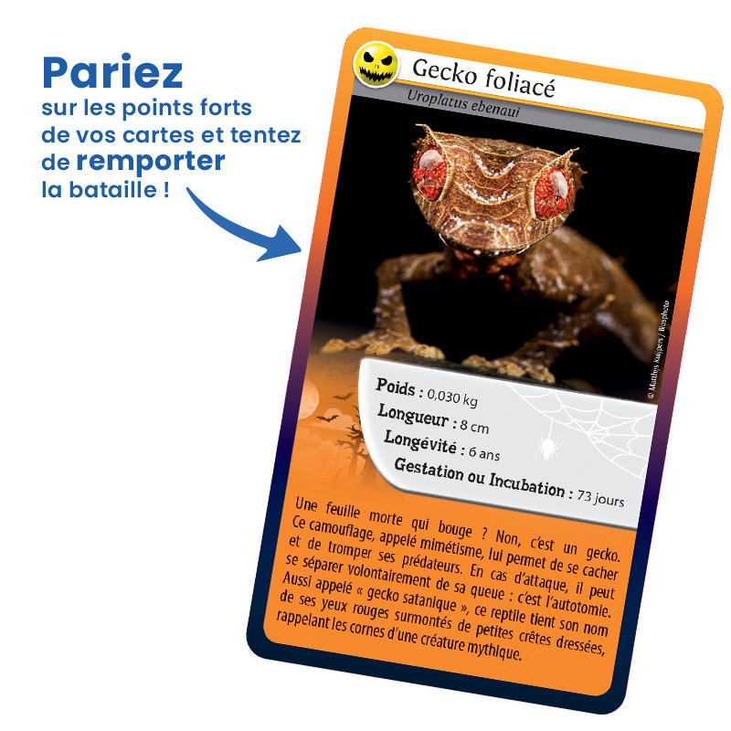 Defis Nature Même pas peur