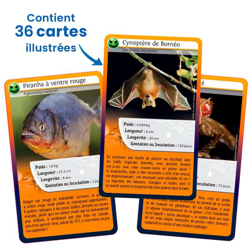 Defis Nature Même pas peur