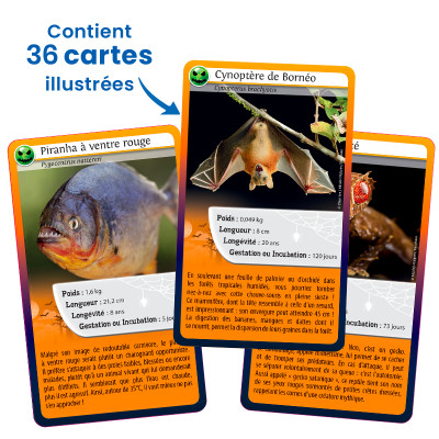 Defis Nature Même pas peur