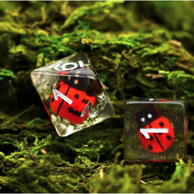 Dé Set de 7 Dés - Résine Gamme Insert Coccinelle