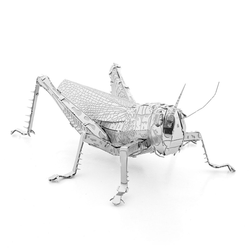 Metal Earth Sauterelle (Grasshopper)