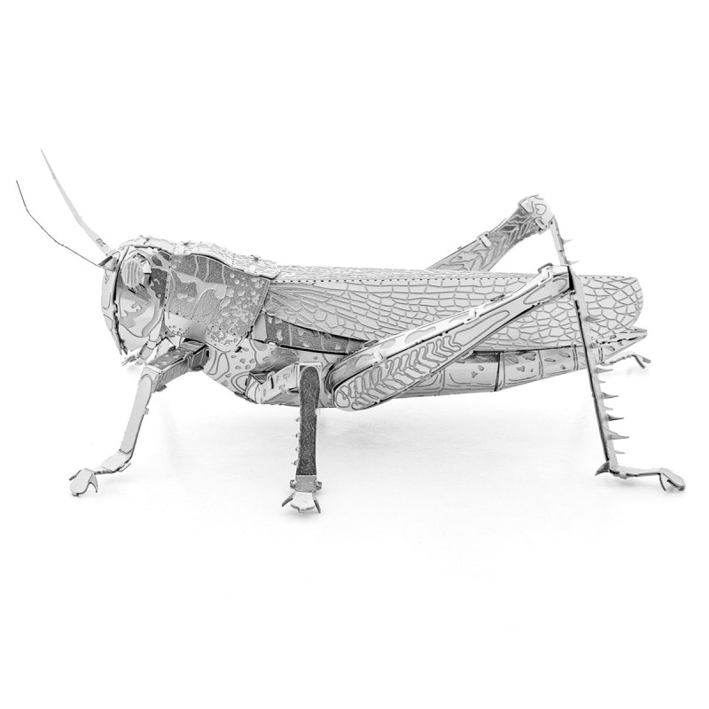 Metal Earth Sauterelle (Grasshopper)