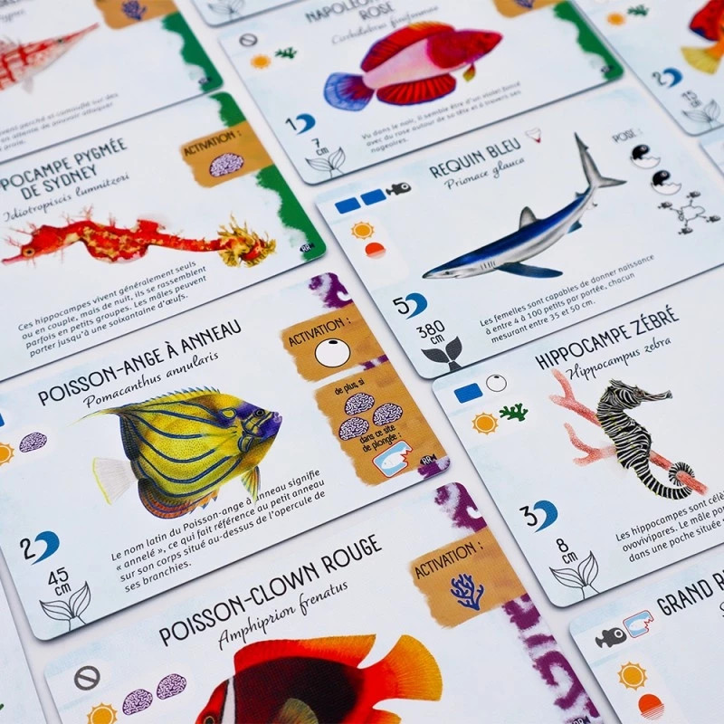 Finspan - Extension Requins et Récifs