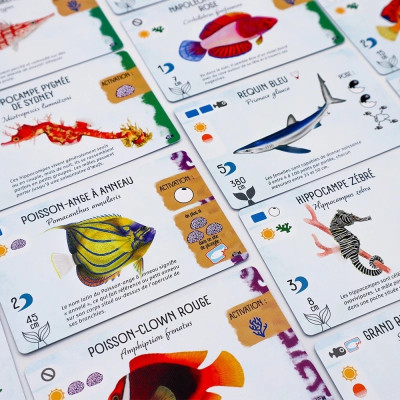 Finspan - Extension Requins et Récifs
