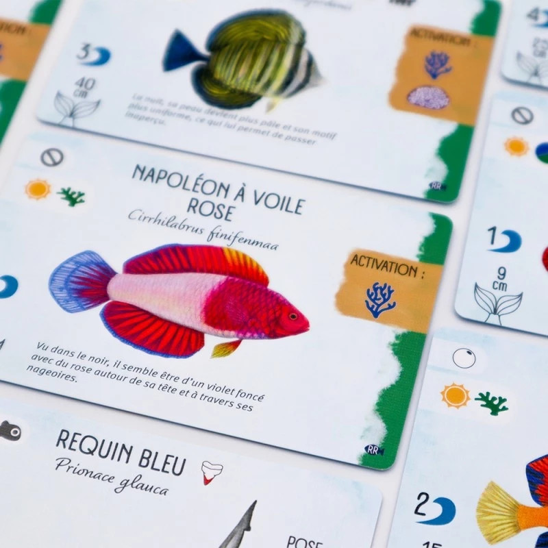 Finspan - Extension Requins et Récifs