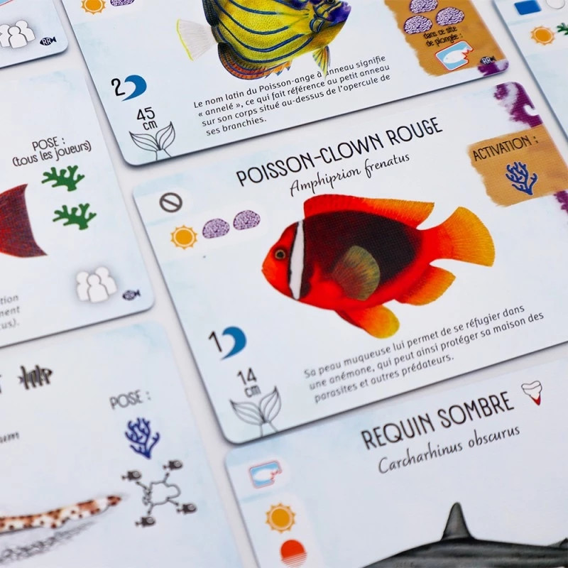 Finspan - Extension Requins et Récifs
