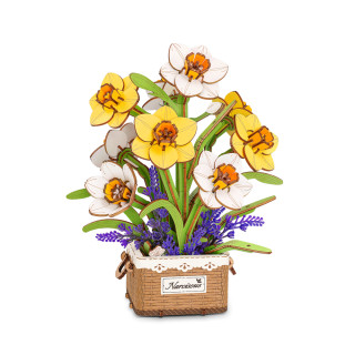 Fleur - Narcisse