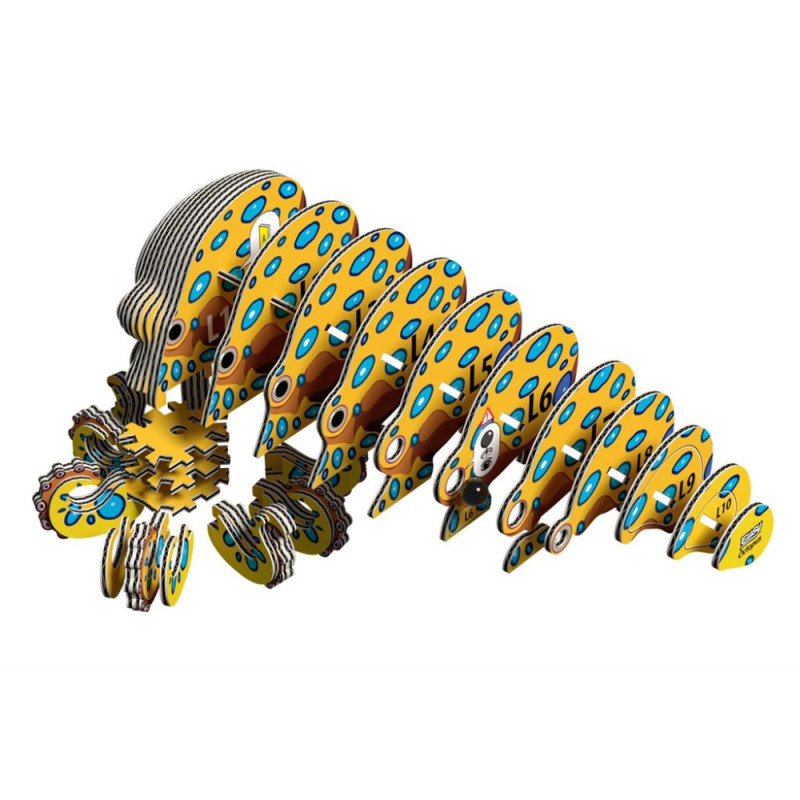 Eugy Pieuvre (Octopus)