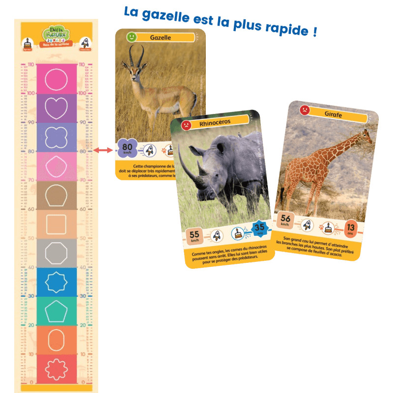 Défis Nature Junior - Rois de la savane