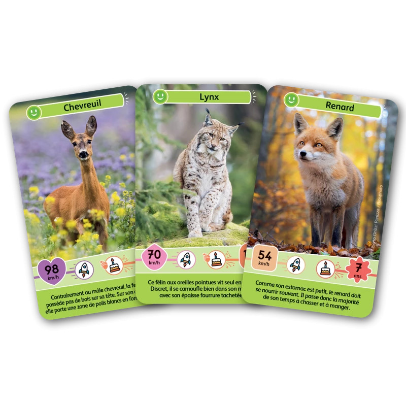 Défis Nature Junior - Animaux de la forêt