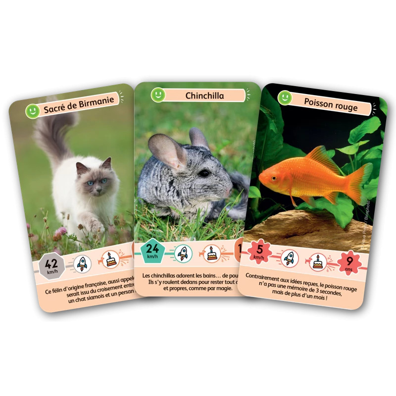 Défis Nature Junior - Fidèles Compagnons