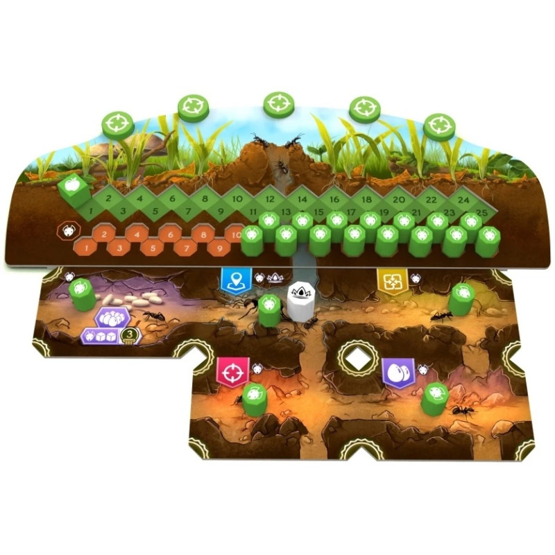Microlonies