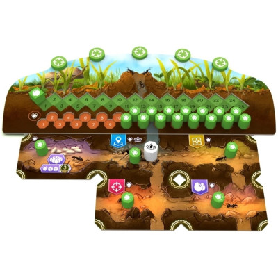 Microlonies