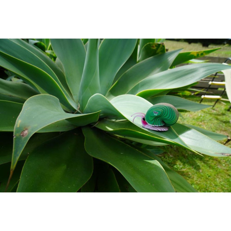 Eugy Escargot (Snail)